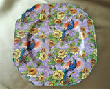 BEAUTIFUL Art Deco CHINTZ Plate, Exotic Birds and Yellow Roses, English Winterton Ware, Longton, England