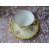 GORGEOUS Antique Rosenthal Hand Painted Teacup and Saucer,Hand Painted Pink Roses and Blue Flowers,Ornate Handle,Collectible Cabinet Teacups