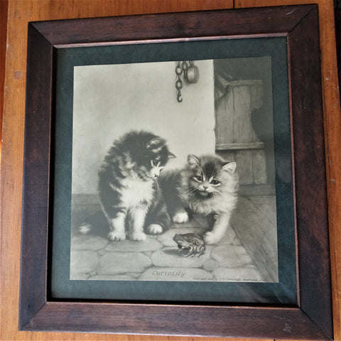 CHARMING 1906 Antique Print of Kittens and a Frog, CURIOSITY by JD Cardinell, California, Original Picture Frame,Cat Lovers Gift