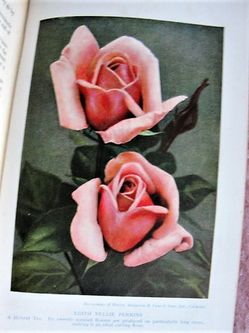 RARE The Rose Encyclopaedia By T Geoffrey W Henslow Organising Secretary Royal International Horticultural Exhibition 1912 A MUST For The Gardner Rose Lover Collectible Book