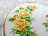 BEAUTIFUL Vintage Tea Rose Plate,Royal Albert English Bone China, Bread and Butter or Dessert Plate, Replacement China, Collectible English China