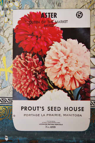 Vintage 1940s Aster Flower Seed Packet