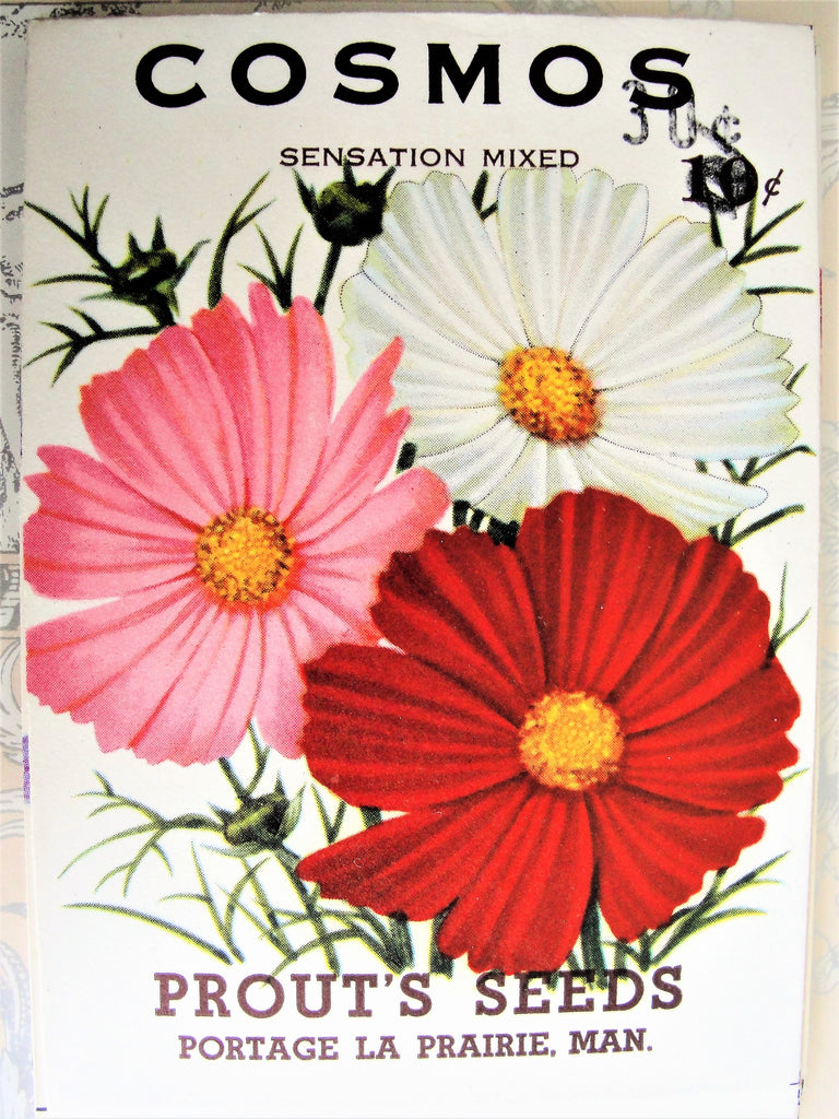 1930s VINTAGE Floral Seed Packet Cosmos Flowers Colorful Perfect To Decorate Home, Crafts, Weddings etc