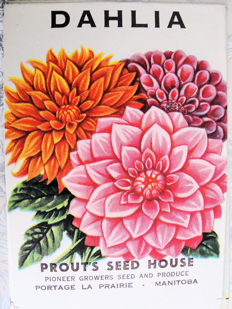 VINTAGE Seed Packet Lovely Florals Perfect To Frame Great For Gardener, Scrapbooking, Shabby Chic Decor Wedding Place Holders