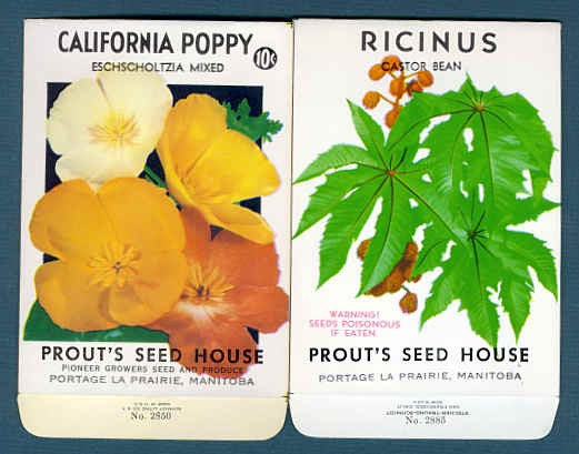 DECORATIVE Vintage Floral Seed Packets Perfect For Weddings, Gifts, Scrapbooking Crafts, Frame, Cottage Decor