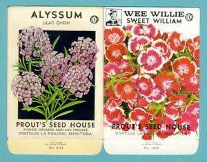 VINTAGE Colorful Seed Packets Suitable To Frame Cottage Chic Farmhouse Decor Scrapbooking Crafts Weddings Gifts Collectible Gardening