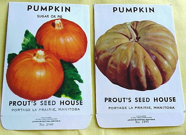 Vintage Pumpkin SEED PACKETS, Colorful PUMPKINS, Suitable To Frame,Farmhouse,French Country,Cottage Chic Decor,Rustic Weddings Holiday Decor
