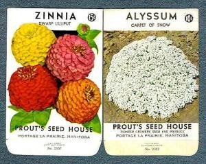 Vintage Cottage Chic Flower Seed Packets Old Never Used Colorful Graphics, Great To Frame, Gift For Gardener, Crafts, Farmhouse Decor