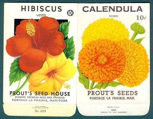 VINTAGE Seed Packets Two Colorful Florals Perfect To Frame, Scrapbooking, Weddings, Gift For Gardener