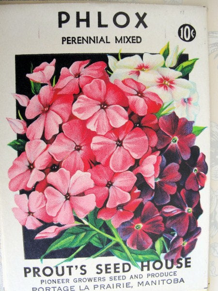 COLORFUL Floral Vintage Seed Packet Perfect to Frame or For Weddings, Crafts Scrapbooking, Place Cards