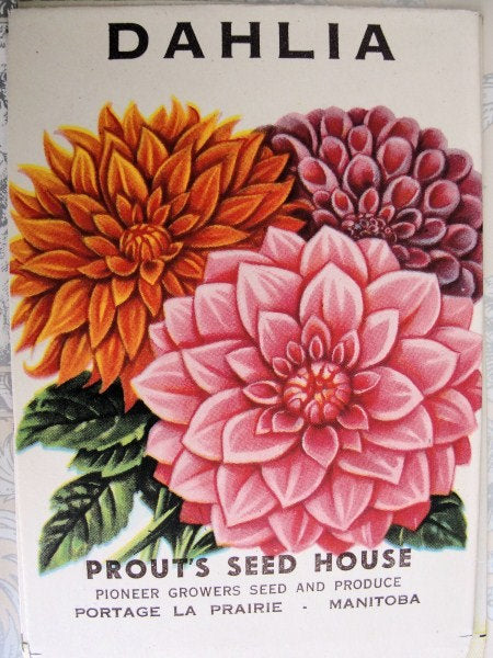 BEAUTIFUL Old Seed Packet Perfect To Frame Clear Graphics Great For Crafts, Gardeners,Weddings etc