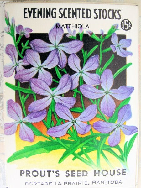 Vintage Colorful FLORAL SEED PACKET Scented Stocks Great To Frame, Crafts Scrapbooking, Gifts Weddings, French Cottage, Farmhouse Decor