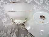 BEAUTIFUL PARAGON Teacup and Saucer,English Bone China Cup and Saucer,PINK Floral Cabinet Teacup ,Double Warrant,Collectible Vintage Teacups