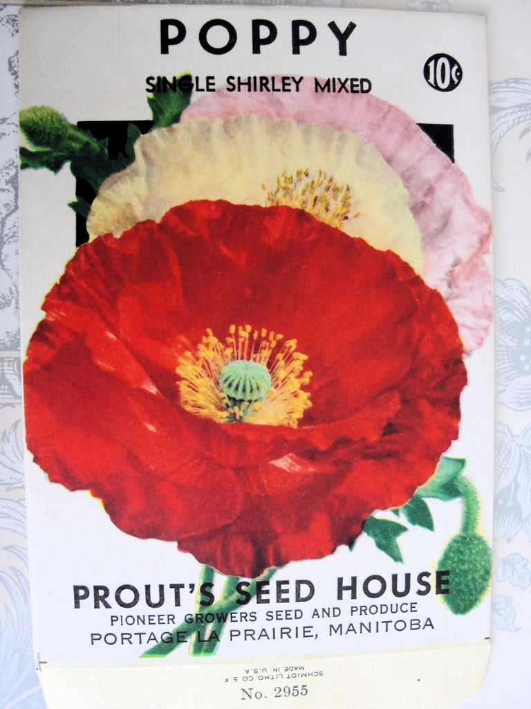 ANTIQUE Seed Packet Colorful Poppy Flowers Suitable To Frame Cottage Chic Decor Scrapbooking Crafts Weddings Gifts