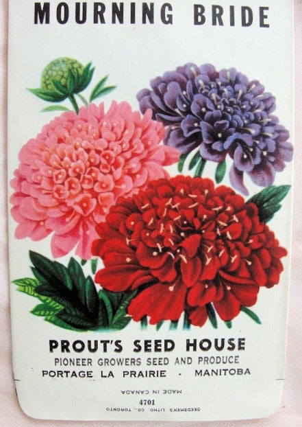 Antique Seed Packet Colorful Flowers Suitable To Frame Cottage Chic Decor Scrapbooking Crafts Weddings Gifts Farmhouse Decor