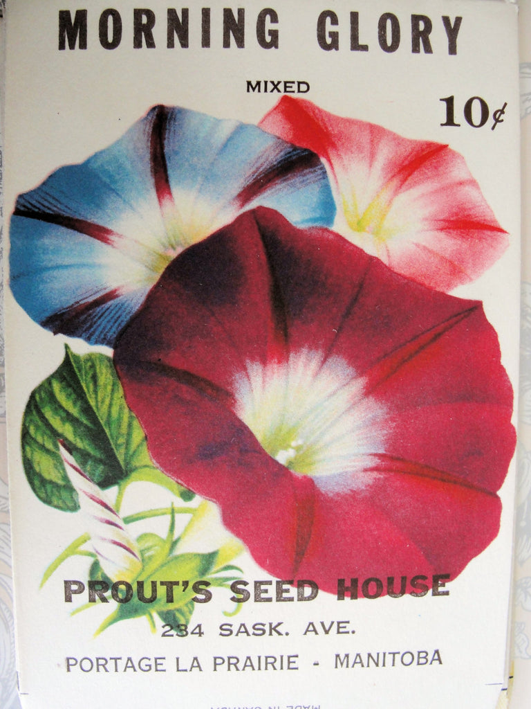 1930s BEAUTIFUL Vintage Floral Seed Packet Morning Glory Flowers Colorful Perfect To Decorate Home, Crafts, Weddings etc