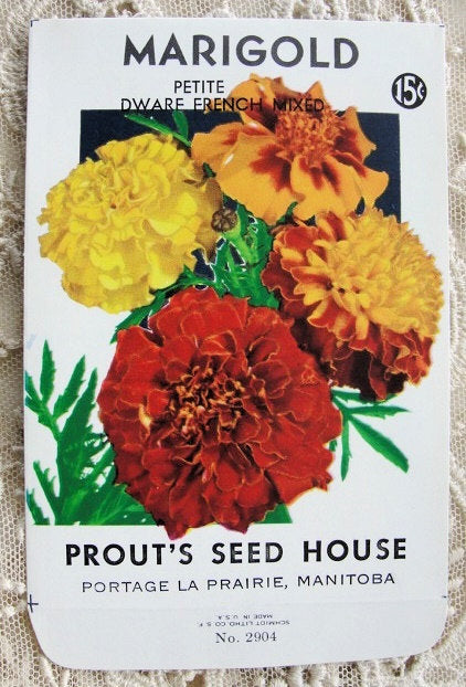 Antique SEED PACKET Colorful Flowers Suitable To Frame Cottage Chic Decor Scrapbooking Crafts Weddings Gifts Great For Gardener