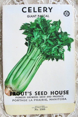 ANTIQUE Seed Packet Colorful Vegetables Suitable To Frame Cottage Chic Decor Scrapbooking Crafts Weddings Gifts