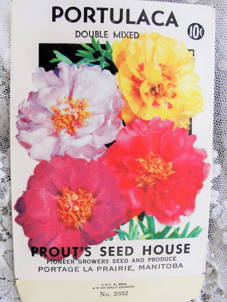 Vintage SEED PACKET Colorful Portulaca Flowers Suitable To Frame Cottage Chic Decor Scrapbooking Crafts Weddings Gifts