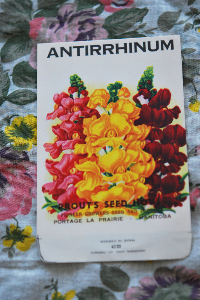 1930s Floral Vintage Antirrhinum Seed Packet