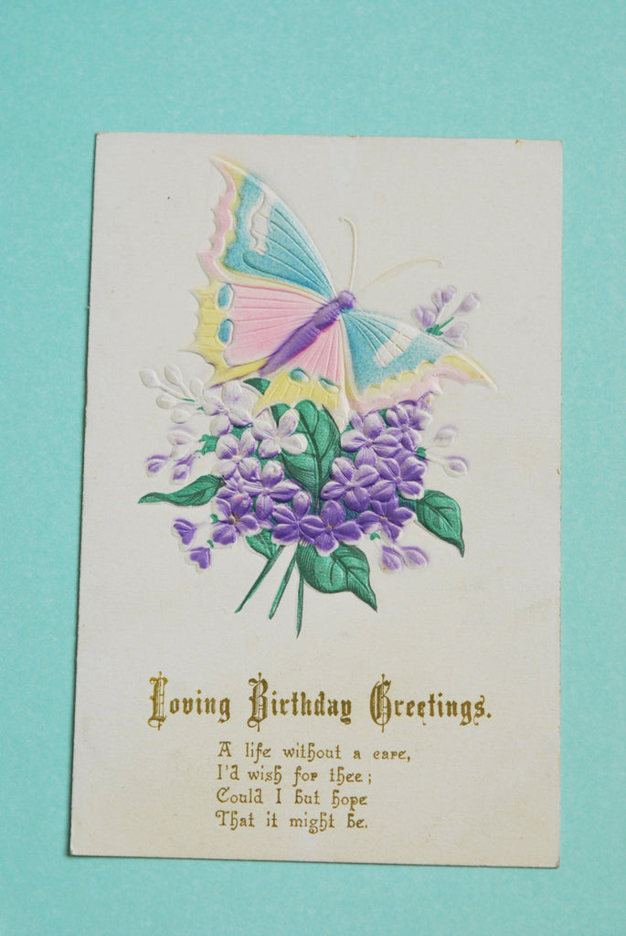 Vintage Antique Embossed Butterfly Moth Postcard Lovely Colorful Card
