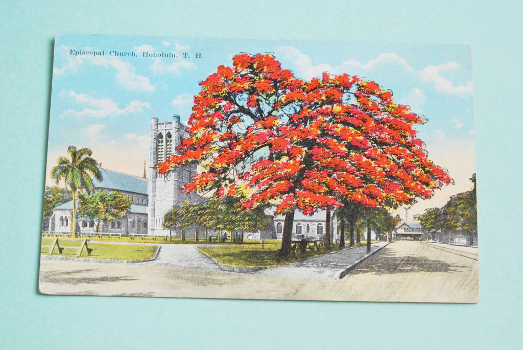 Antique Colorful Historical Hawaii Honolulu Post Card  Hawaiian Postcard