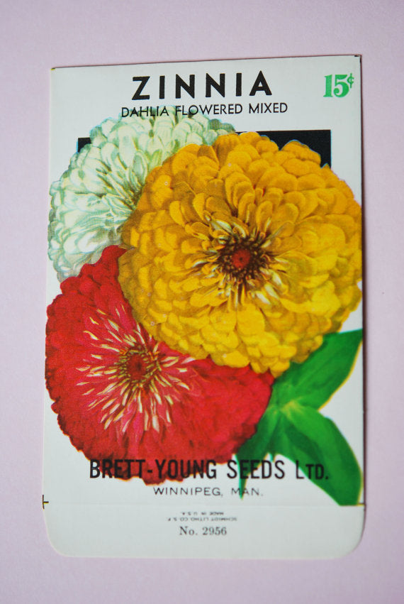 Vintage 1930s Zinnia Flower Seed Packet